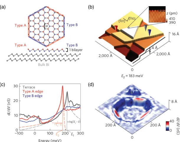 Figure 10. Edges of Bi bilayer islands on a Bi crystal surface. (a): Schematics of the Bi bilayer atomic structure (upper panel: top view; lower panel: side view).