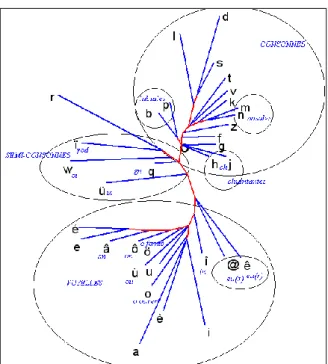Figure 12. Analyse arborée du tableau des phonèmes immédiatement cooccurrents 