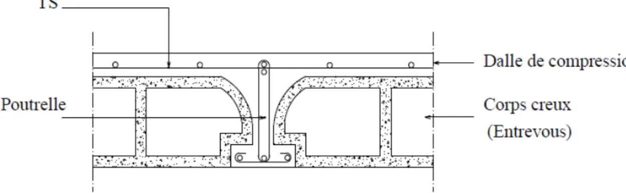 Fig III.1:  coupe transversale d’un plancher à corps creux III.2.1 Détermination des dimensions des poutrelles : 