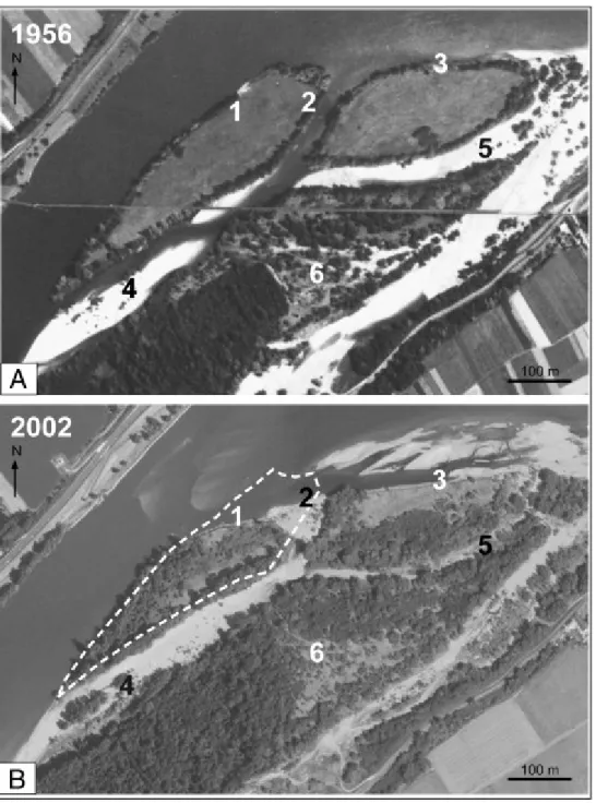Fig. 6. Aerial photographs of the Bréhémont site in 1956 (A) and 2002 (B). The dashed line  represents the shape of Pallu Island in 1956