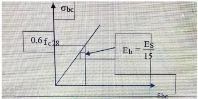 Fig. 4:   Diagramme contrainte déformation a l’ELUS 