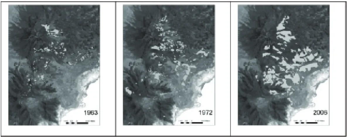 Figura 2. Expansión del área de los cultivos entre 1963 y 2006 en una comunidad del Altiplano Sur de  Bolivia