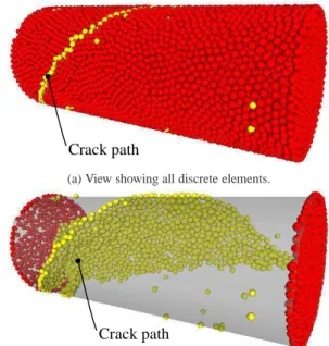 Figure 10: View of crack path in a torsion test; The highlighted discrete elements attained the failure  crite-rion (critical discrete elements).