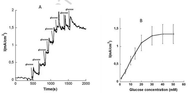 Fig 6. (A) Current-time curve of the bioelectrode MWCNTs/PMG/NADP/GDH/NAFION  during successive addition of glucose (5 mM) into 0.1 M PBS (pH 7.4)