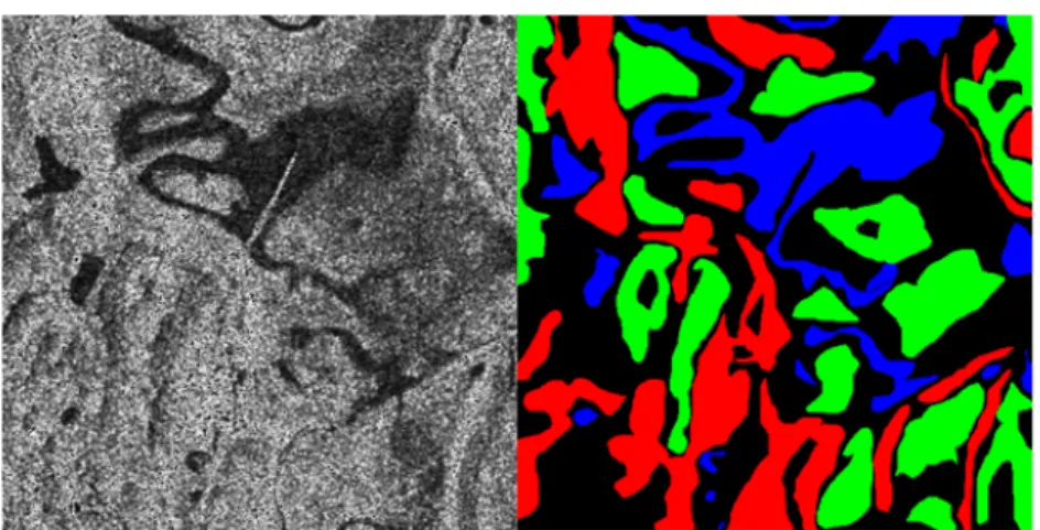 Figure 1: SAR1 Learning image 500x500 pixels. HH polarization (left), partial GT (right):