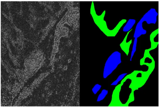 Figure 2: SAR2 Learning image 1000x700 pixels. HH polarization (left), partial GT (right):