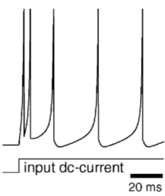 Figure 4.1: Tonic spiking representation for continuous signals from [14].
