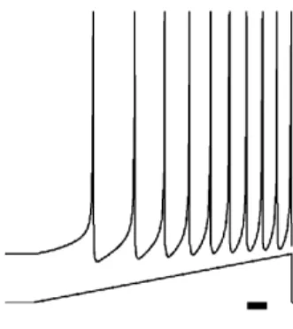 Figure 4.5: Excitability capability representation for continuous signals, from [14].