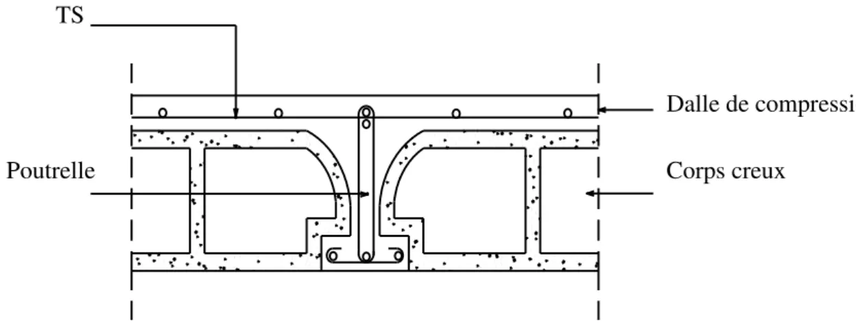 Figure III.1.  Coupe transversale d’un plancher à corps  creux. 