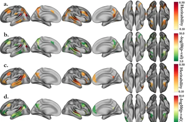 Figure 2.  Heritability estimates for the activations of the MATH (a) and STORY (c) tasks, and their associated  p-values (respectively b and d)