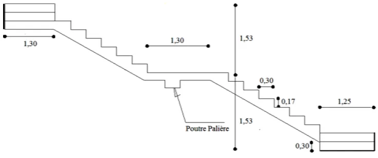 Figure IV-3 : coupe au niveau de l’escalier (ty