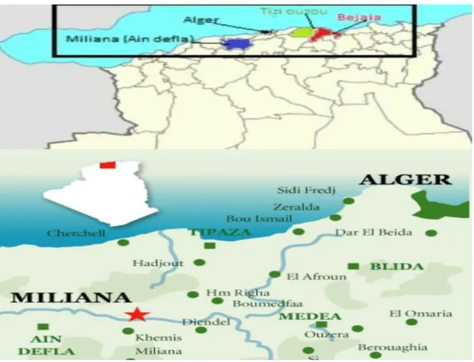 Figure 4: Localisation de la région d’étude dans la carte d’Algérie