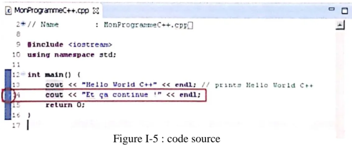 Figure I-5 : code source  
