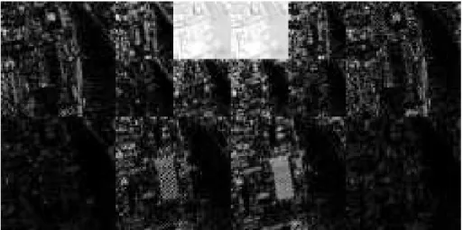 Figure 3.10: Magnitude of the complex wavelet transform of the original image of Fig. 1.1
