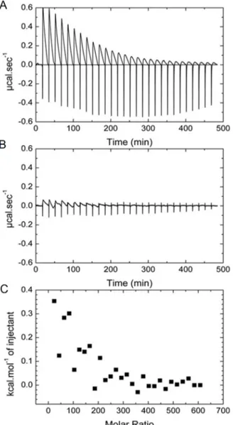 Figure 5. (A) Heat exchanges raw data of the addition of 10 μL aliquots of AGuIX   (7.5 × 10 −3  M) in a  HSA solution (3 × 10 −6  M)