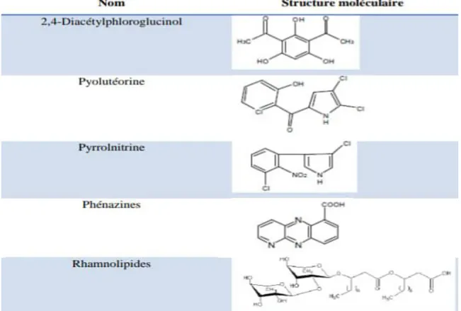 Figure  4 :  Les  principaux  antibiotiques  sécrétés  par  les  Pseudomonas  flueorescents  (  Dwivedi  et  Johri , 2003) 