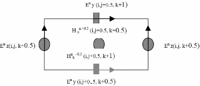 Figure II.11 : Disposition des composantes électriques Ey, Ez pour                              le calcul de Hx