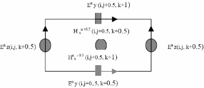 Figure II.11 : Disposition des composantes électriques Ey, Ez pour                              le calcul de Hx