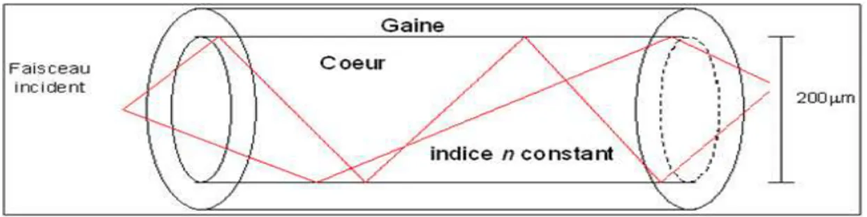 Figure 1.3:un trajet lumineux  dans un fibre a saut d’indice  Source : http://physique.unice.fr 