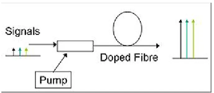 Figure 2.4: Diagramme schématique d'un amplificateur à fibre dopée. 