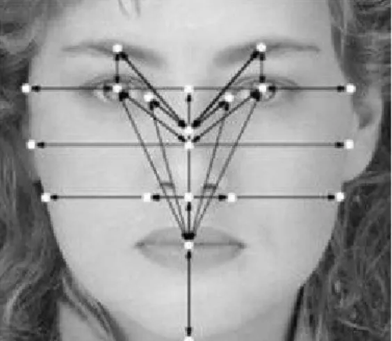 Figure 1.5 : Les parties possibles du visage              Figure 1.6 : Exemple d’application utilisée  3.3.4 L’iris