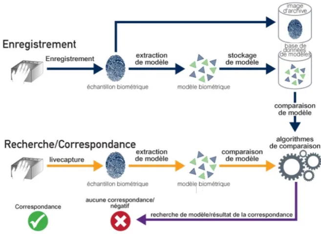 Figure 2.1 Descriptions d’un système biométrique 