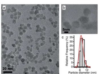 Fig. 3 Pictures of the samples before and after freeze-drying for possible transfer routes including at least one stable phase during the process