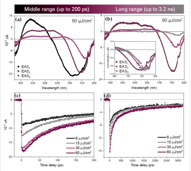 Figure 5. EAS of thick FAPbI 3  NPs excited at 630 nm for the (a) middle and (b) long time ranges at 60  μJ/cm 2 