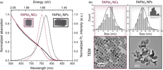 Figure 1. (a) Absorption (solid line) and photoluminescence (dashed line) spectra of the  corresponding colloidal FAPbI 3  samples (nanocrystals (NCs) in purple, thick nanoplates (NPs) in  black)