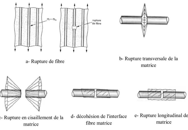 Figure II.6. Différents modes de rupture de la matrice associés à la rupture d'une fibre  [2,3 et 60] 