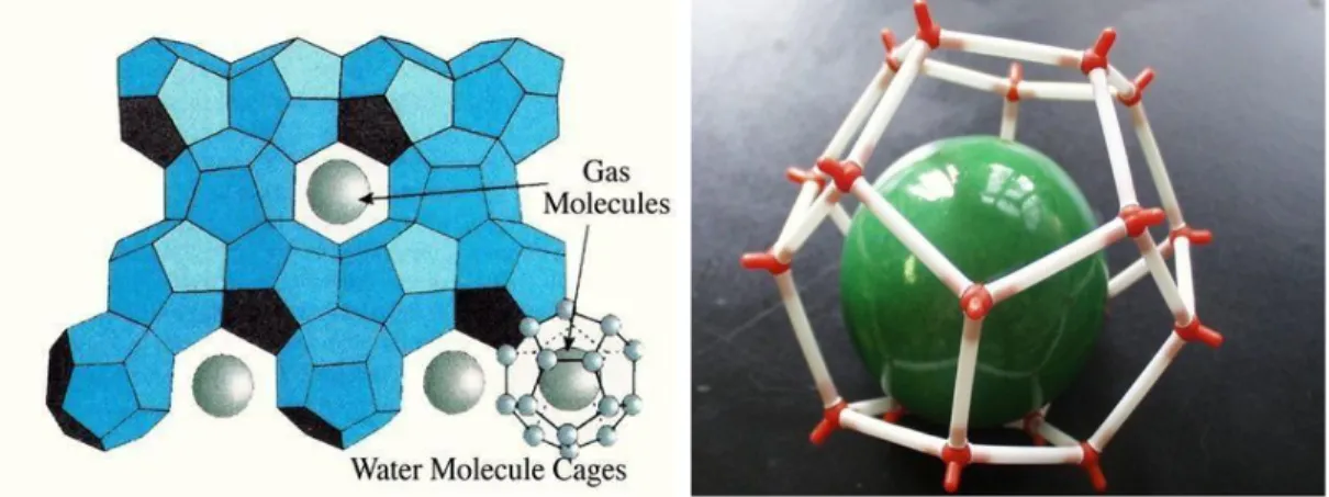 Figure 9 : Structures des hydrates. 