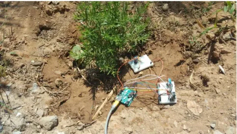 Figure 3.13: Datalogger mis en sol arrosé et sous la plante à l’après midi. 