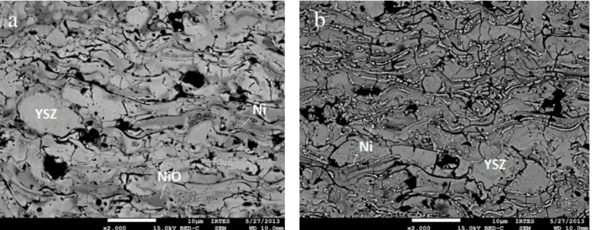 Figure 4.  Microstructure of anode coatings deposited in the operating condition 2 as- as-deposited (a) and after reduction under 90 Ar / 10 H 2  mixture at 773 K for 3h (b)