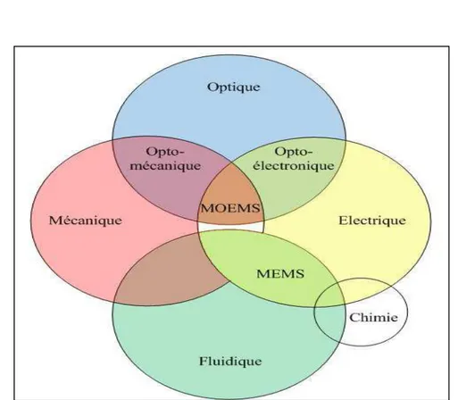 Figure I.5 : Domaines de la physique impliqués dans La conception des microsystèmes 