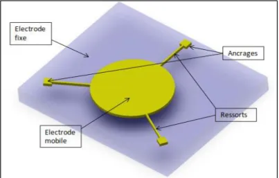 Figure I.22: Schéma d’une structure MEMS à membrane circulaire [8] 