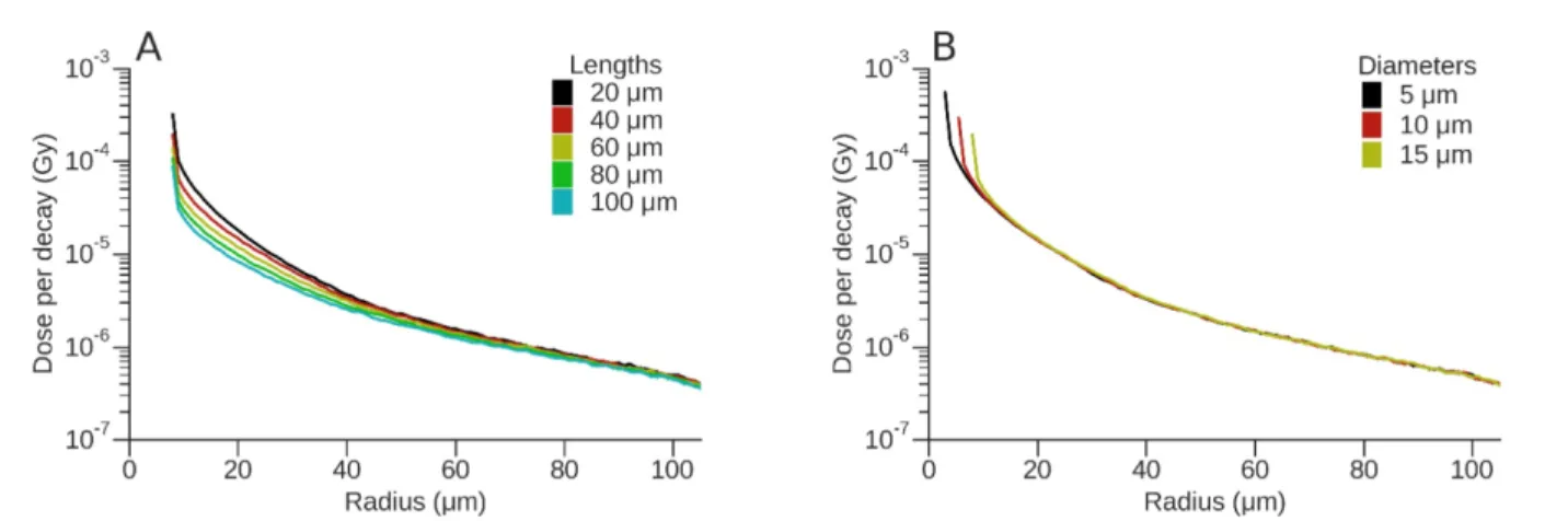 Figure 4. Dose per decay (Gy) for  177 Lu. (A) Variation of absorbed dose (Gy) for a 15 µm diameter vessel as a function of vessel length