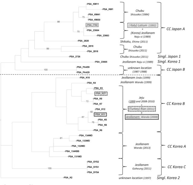 Fig 6. Unweighted Neighbor-Joining dendrogram of the strains from Japan and Korea. The UNJ dendrogram represents results from the analysis of the thirty-four strains enclosed in both the “ Japan ” and “ Korea ” groups and related singletons (see Fig 3) wit