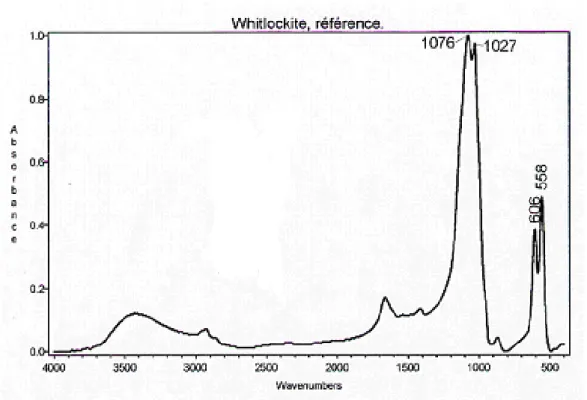 Figure 11. La whitlockite 