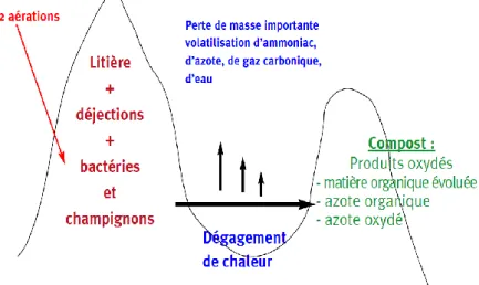 Figure 07 : Les pertes en éléments fertilisants   