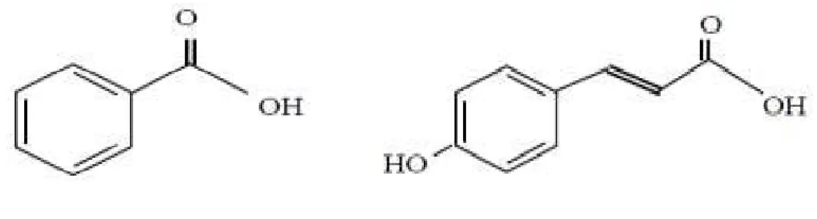 Figure 3: Structure de base des acides benzoïque et cinnamique (BRUNETON, 2009).