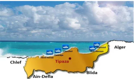 Figure 29 : la carte géographique de la wilaya de Tipaza.(google carte) 