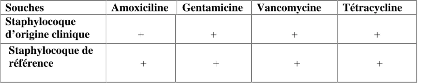 Tableau 5 : Résultats de l’activité antibactérienne des antibiotiques