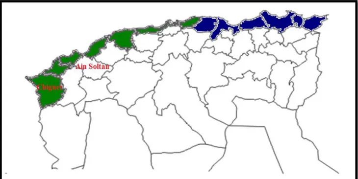 Figure 03 : Localisation des deux stations thermales  (Encarta, 2012). 