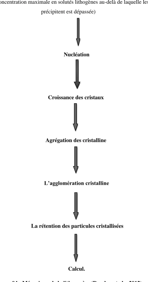 Figure 04 : Mécanisme de la lithogenèse (Daudon et al ., 2012) 