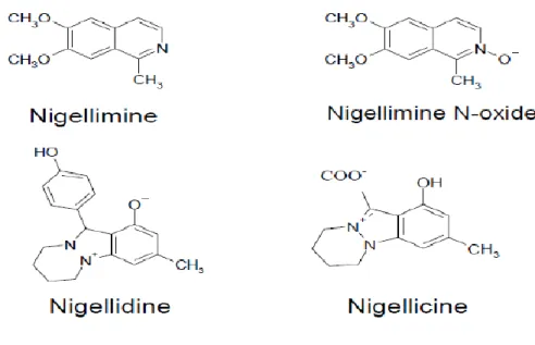 Figure 3 : Structure chimique des principaux alcaloïdes de Nigella sativa                  (TOPARSLAN.2012)