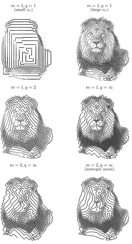 Figure 6: Projection of the lion image onto P N m,q with N = 8, 000, and m ∈ {1, 2} and q ∈ {1, 2, ∞}.