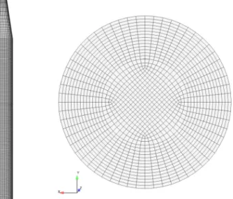 Fig. 3 – 3D mesh for the numerical simulation with 277,635 cells.