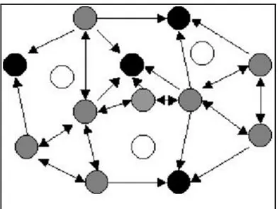 Figure 2 : Exemple de métapopulation [B].  