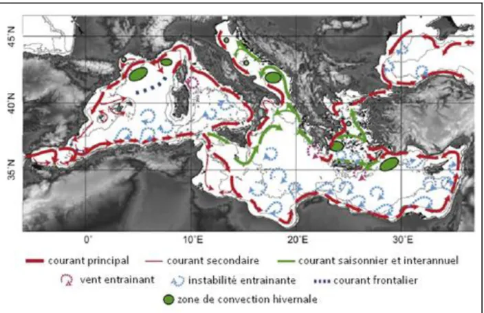 Figure 7 : Circulation générale des eaux de surface en Méditerranéennes selon Millot (1999)   revu par Durrieu de Madron et al