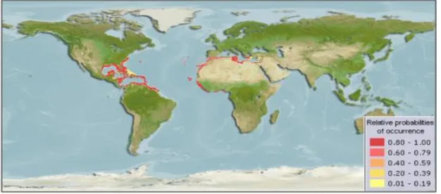 Figure 9 : La répartition géographique de S. haemastoma dans le monde [F]. 